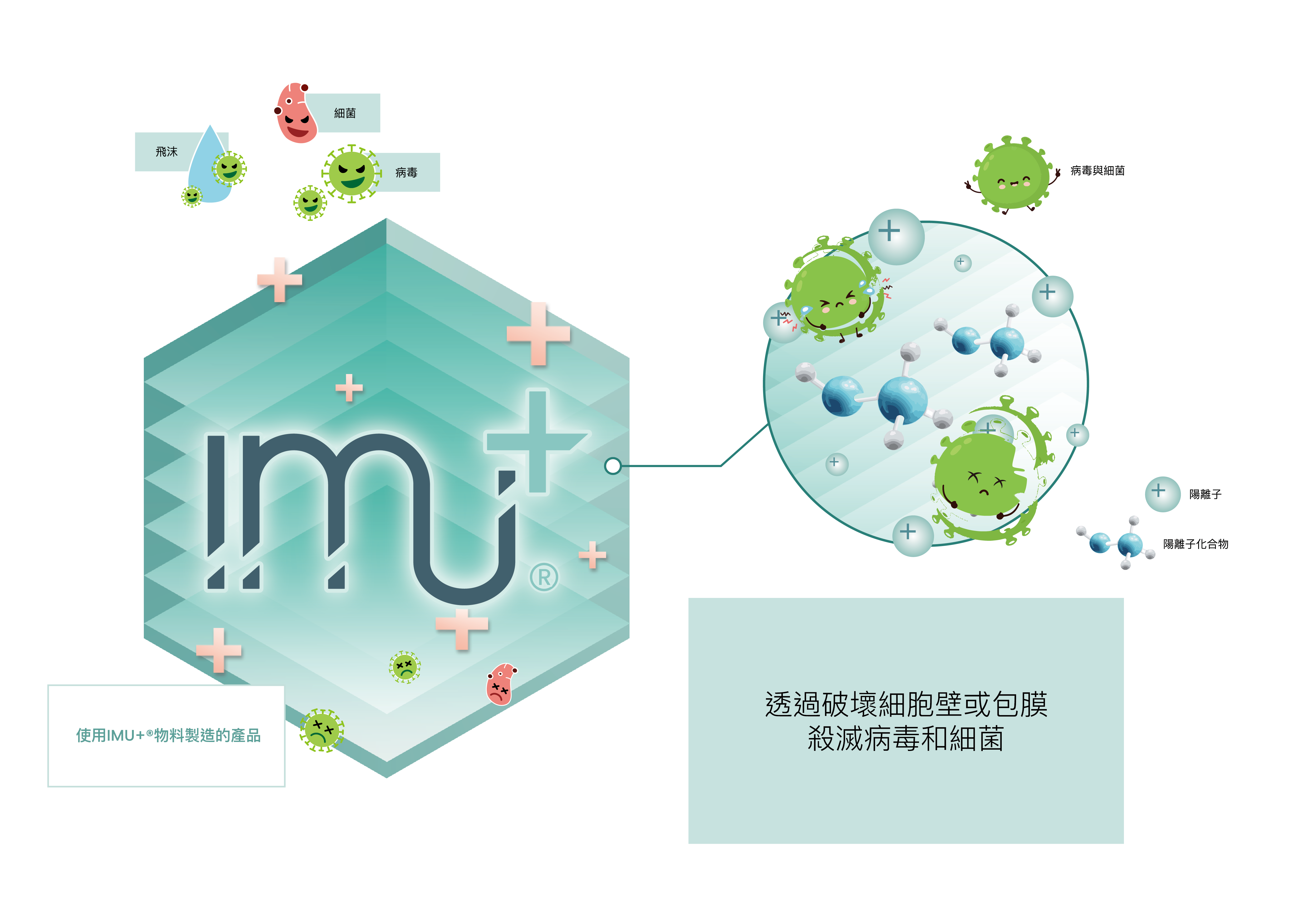 IMU+® Mechanism (Chinese)_20221118